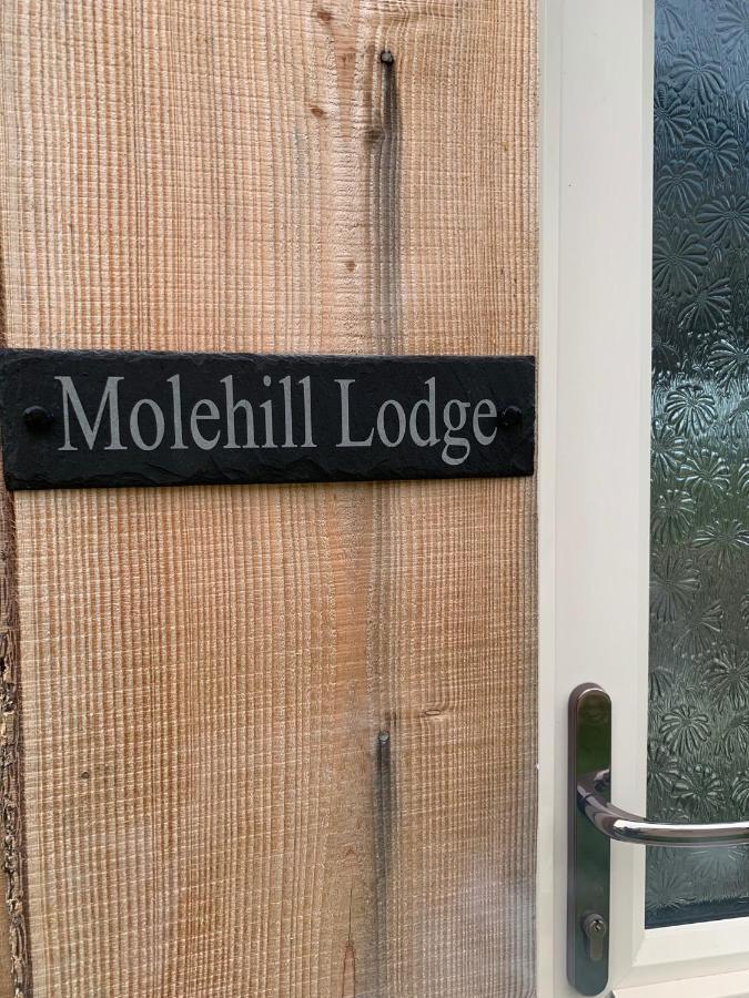 Molehill Lodge سوانسي المظهر الخارجي الصورة