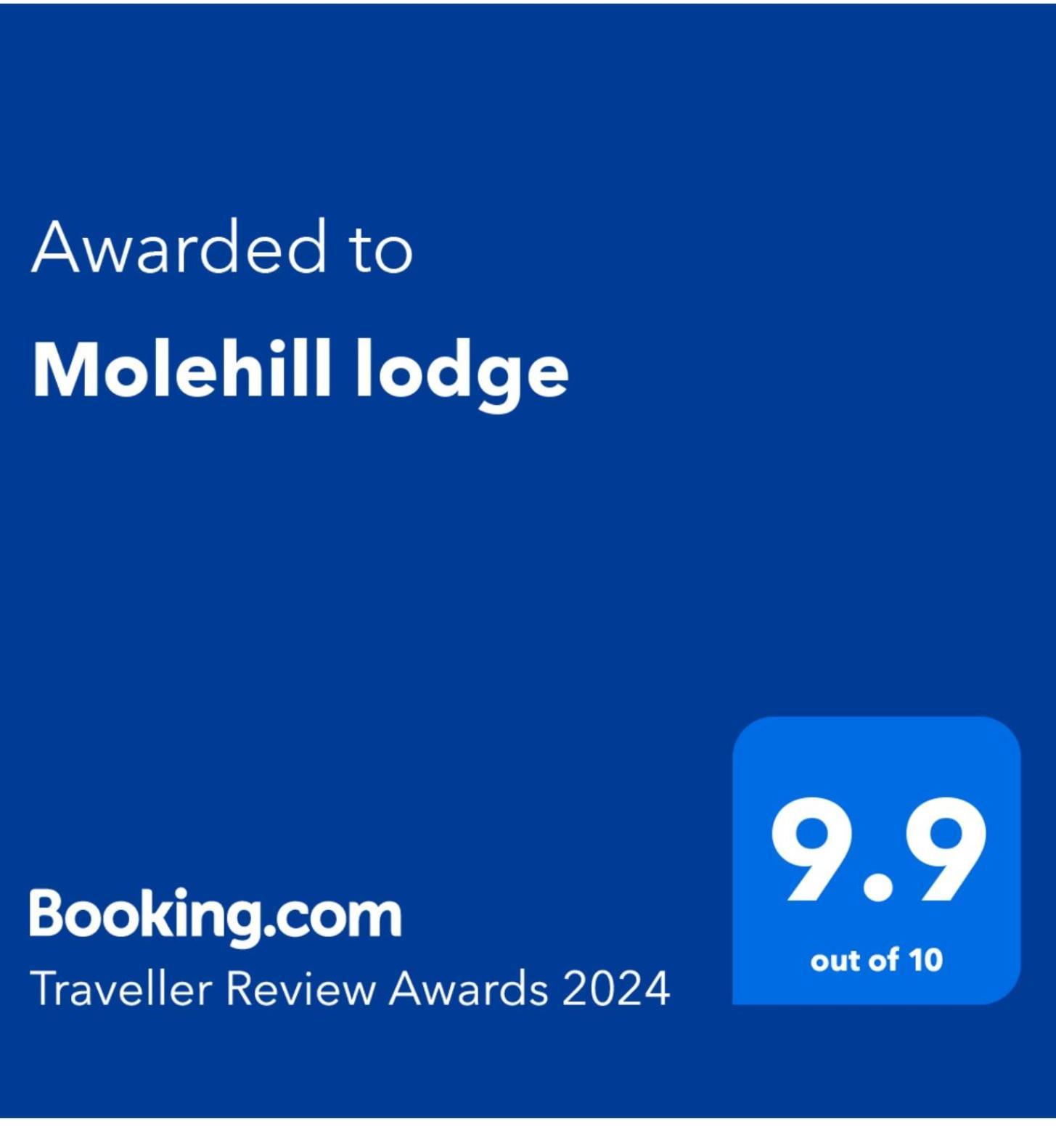 Molehill Lodge سوانسي المظهر الخارجي الصورة