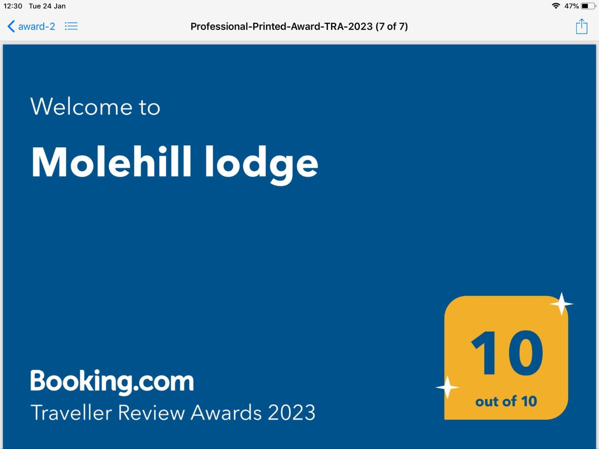 Molehill Lodge سوانسي المظهر الخارجي الصورة